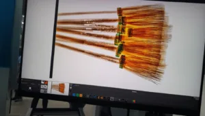 mulher-e-presa-ao-entrar-em-presidio-com-viagra-e-maconha-em-vassoura.-video