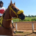 joqueis-lutam-para-manter-esporte-ameacado-por-ausencia-absoluta-de-sucessores