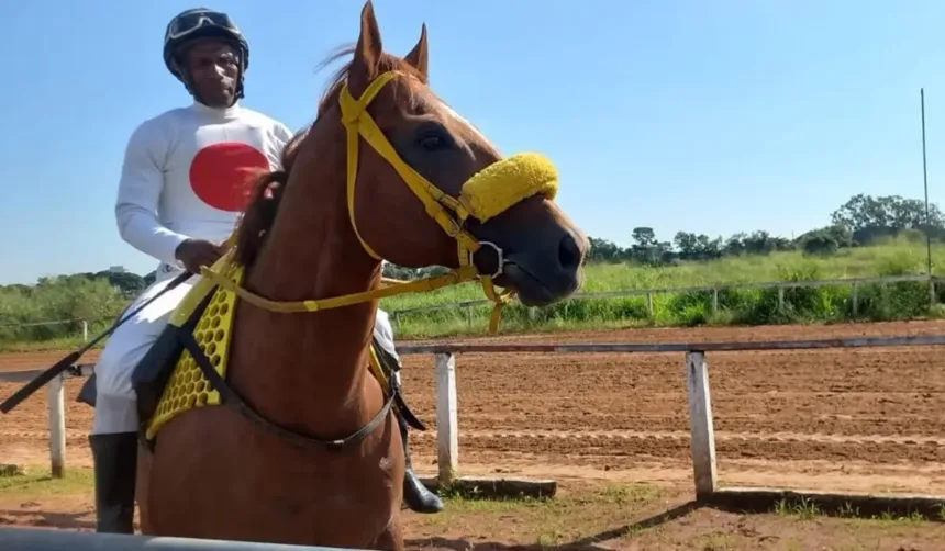 joqueis-lutam-para-manter-esporte-ameacado-por-ausencia-absoluta-de-sucessores