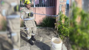 bombeiros-resgatam-serpente-peconhenta-em-calcada-de-caldas-novas