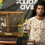 rio:-homem-e-preso-ao-matar-capivara-com-chutes-na-cabeca