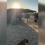 rancheiros-de-aruana-iniciam-demarcacao-de-praias-para-a-temporada-do-rio-araguaia