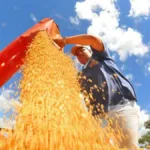 agropecuaria-cresce-mais-de-20%-e-coloca-economia-de-goias-acima-da-media-nacional