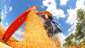 agropecuaria-cresce-mais-de-20%-e-coloca-economia-de-goias-acima-da-media-nacional