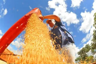 agropecuaria-cresce-mais-de-20%-e-coloca-economia-de-goias-acima-da-media-nacional