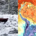 frio-congelante-coloca-mais-de-120-cidades-do-sul-do-brasil-em-perigo-–-nsc-total