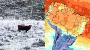 frio-congelante-coloca-mais-de-120-cidades-do-sul-do-brasil-em-perigo-–-nsc-total