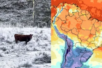frio-congelante-coloca-mais-de-120-cidades-do-sul-do-brasil-em-perigo-–-nsc-total