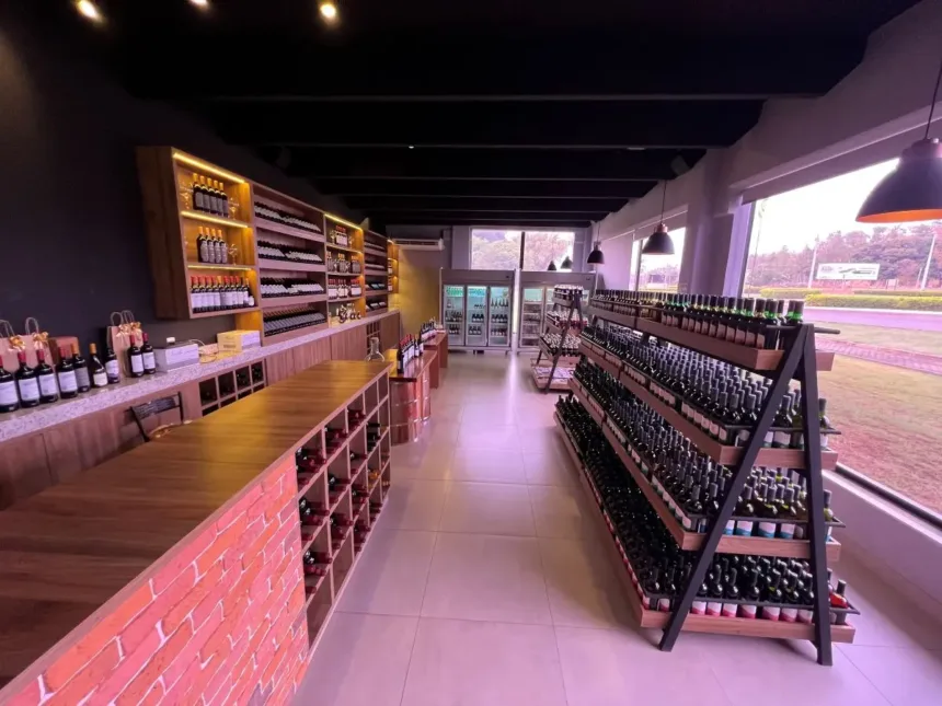 degustacoes-e-visitas-guiadas:-vinicolas-goianas-se-reinventam-para-atrair-visitantes