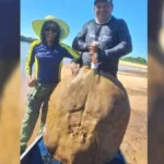 pescadora-relata-“sensacao-maravilhosa”-apos-arraia-de-50-kg-no-rio-araguaia