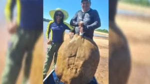 pescadora-relata-“sensacao-maravilhosa”-apos-arraia-de-50-kg-no-rio-araguaia