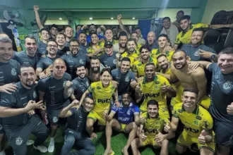 mirassol-e-botafogo-“salvam”-rodada-dos-brasileiros-nas-competicoes-sul-americanas,-confira-os-resultados