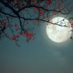 lua-cheia-das-flores-em-escorpiao-traz-transformacao-intensa-a-todos-os-signos-em-maio-de-2026