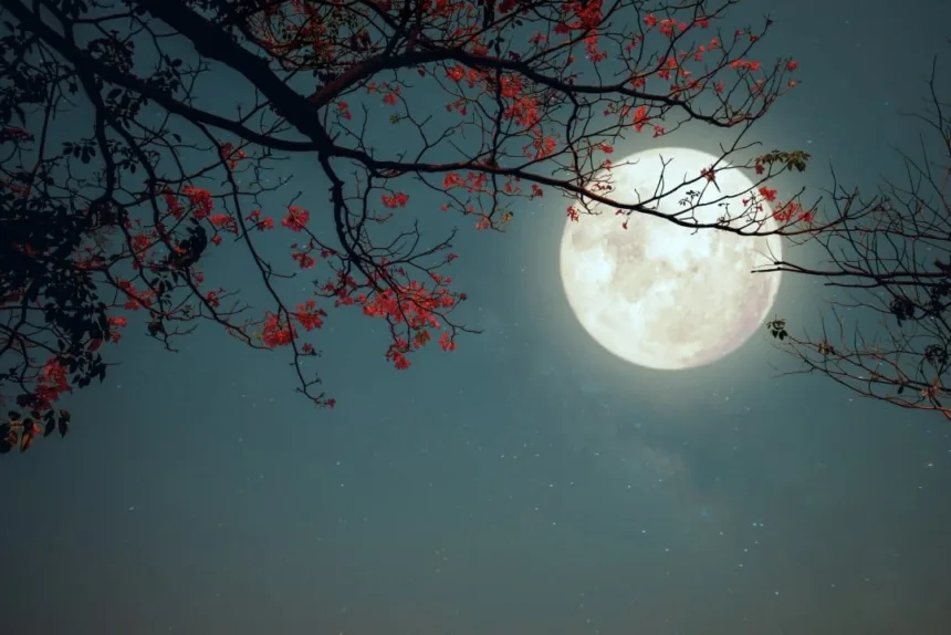 lua-cheia-das-flores-em-escorpiao-traz-transformacao-intensa-a-todos-os-signos-em-maio-de-2026