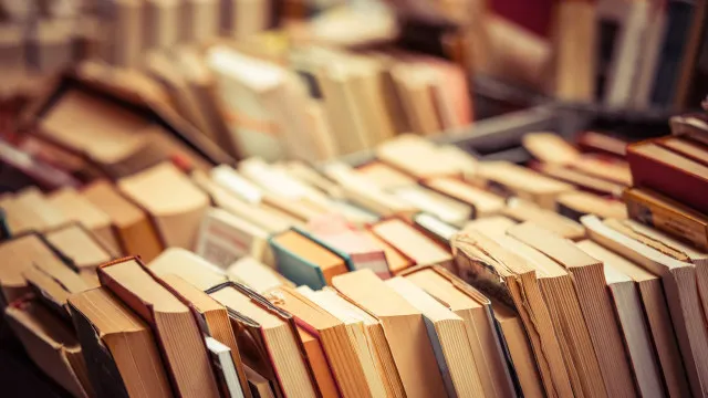 promotoria-abre-inquerito-para-apurar-descarte-de-milhares-de-livros-em-osasco-(sp)