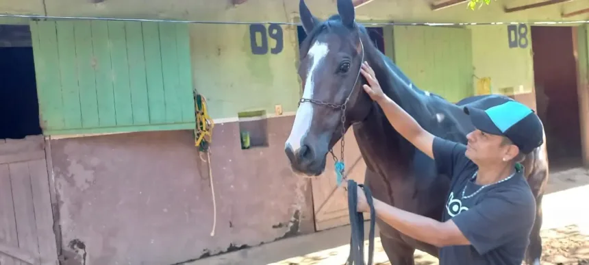 joqueis,-donos-ou-cavalaricos:-quem-os-cavalos-mais-amam?
