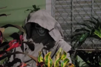 escultura-da-morte-no-jardim-assusta-pedestres-no-centro-de-sao-carlos