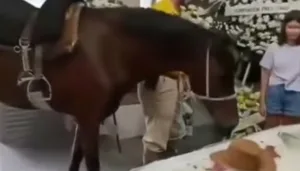 egua-se-despede-de-tutor-falecido-em-velorio-em-blumenau-e-emociona-familia