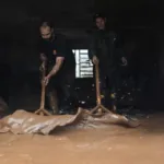 temporal-no-rs-deixa-desalojados-e-provoca-danos-em-19-cidades