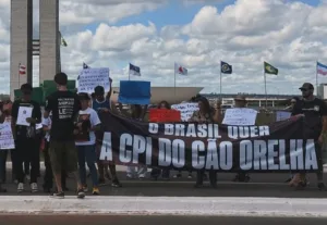 cruz-com-nomes-de-caes-vitimas-de-maus-tratos-em-goiania-marca-ato-por-cpi-do-caso-orelha