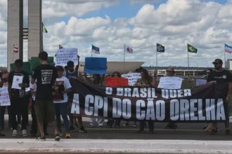 cruz-com-nomes-de-caes-vitimas-de-maus-tratos-em-goiania-marca-ato-por-cpi-do-caso-orelha