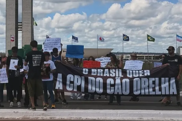 cruz-com-nomes-de-caes-vitimas-de-maus-tratos-em-goiania-marca-ato-por-cpi-do-caso-orelha