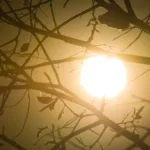 cidade-baiana-registra-maior-temperatura-do-nordeste;-veja-ranking