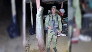 pescadores-sao-flagrados-com-piracuru-de-quase-2-metros-e-mais-de-100-kg-em-goias;-video