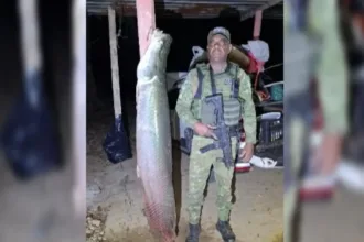 pescadores-sao-flagrados-com-piracuru-de-quase-2-metros-e-mais-de-100-kg-em-goias;-video