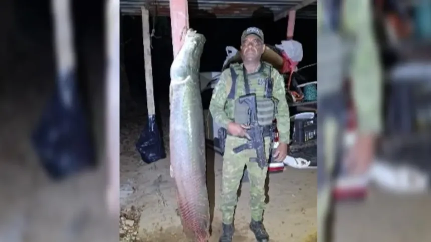 pescadores-sao-flagrados-com-piracuru-de-quase-2-metros-e-mais-de-100-kg-em-goias;-video