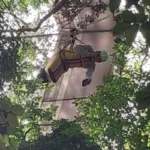 piloto-de-asa-delta-fica-preso-em-arvore-ao-voar-ate-o-cristo-redentor.-veja-video