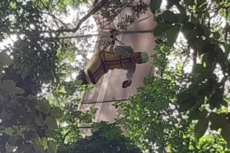 piloto-de-asa-delta-fica-preso-em-arvore-ao-voar-ate-o-cristo-redentor.-veja-video