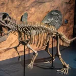 descoberta-de-fossil-de-16-centimetros-revela-nova-especie-de-reptil-pre-historico