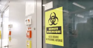 cruzeiro-com-hantavirus:-suica-confirma-cepa-rara-ligada-ao-surto-–-cnn-brasil