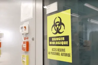 cruzeiro-com-hantavirus:-suica-confirma-cepa-rara-ligada-ao-surto-–-cnn-brasil