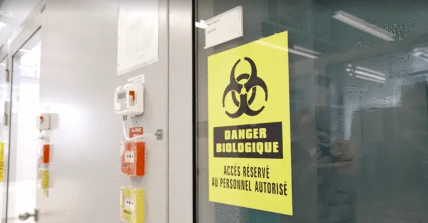cruzeiro-com-hantavirus:-suica-confirma-cepa-rara-ligada-ao-surto-–-cnn-brasil