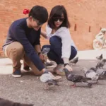 aves-urbanas-tem-mais-medo-de-mulheres-que-homens,-diz-estudo