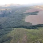 fazendeiro-tem-r$-15,9-milhoes-bloqueados-apos-desmatamento-do-cerrado,-em-formosa