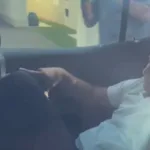 lider-do-pp-na-camara-tenta-sair-escondido-da-casa-de-ciro-nogueira.-veja-video