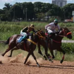 joquei-clube-promove-mais-uma-edicao-de-corrida-de-cavalos-no-hipodromo-da-lagoinha-no-sabado-(9)