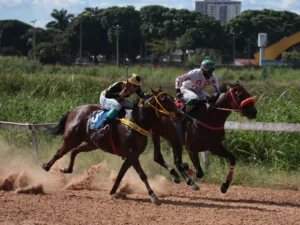 joquei-clube-promove-mais-uma-edicao-de-corrida-de-cavalos-no-hipodromo-da-lagoinha-no-sabado-(9)