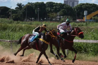 joquei-clube-promove-mais-uma-edicao-de-corrida-de-cavalos-no-hipodromo-da-lagoinha-no-sabado-(9)