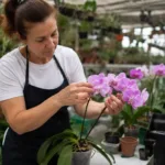 bosque-dos-buritis-recebe-curso-gratuito-de-cultivo-de-orquideas-neste-sabado-(9)