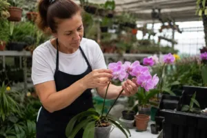 bosque-dos-buritis-recebe-curso-gratuito-de-cultivo-de-orquideas-neste-sabado-(9)