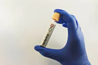oito-casos-de-hantavirus-ligados-a-navio-que-visitou-areas-remotas-no-atlantico