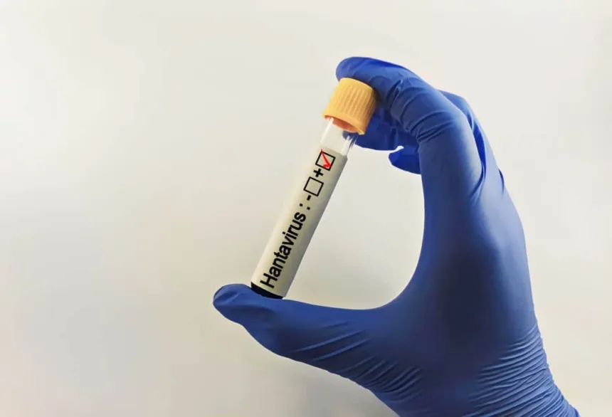 oito-casos-de-hantavirus-ligados-a-navio-que-visitou-areas-remotas-no-atlantico