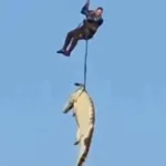 empresario-portugues-de-59-anos-encontrado-dentro-de-crocodilo-gigante-no-rio-komati