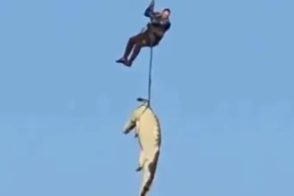empresario-portugues-de-59-anos-encontrado-dentro-de-crocodilo-gigante-no-rio-komati