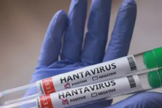 parana-confirma-dois-casos-de-hantavirus-no-estado;-11-sao-investigados-–-cnn-brasil