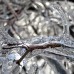 previsao-diz-que-ha-chance-de-neve-no-brasil-neste-fim-de-semana